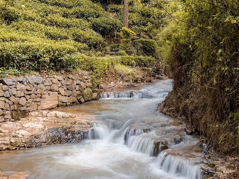 hike.trails.near me for a Solo Adventure